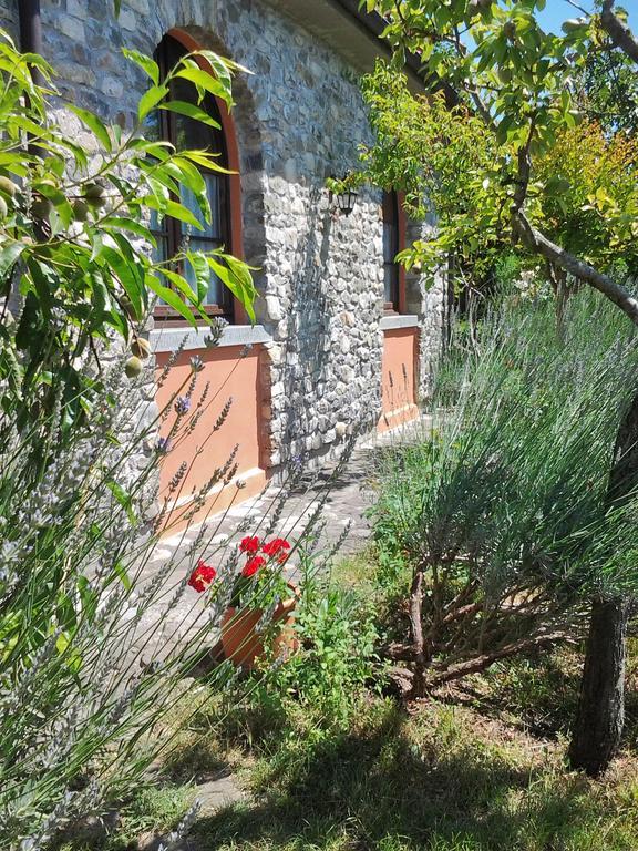 Forni Rosaia Villa Olivola  Luaran gambar